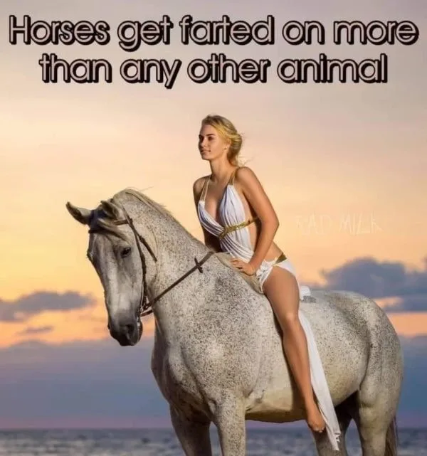 horse meme