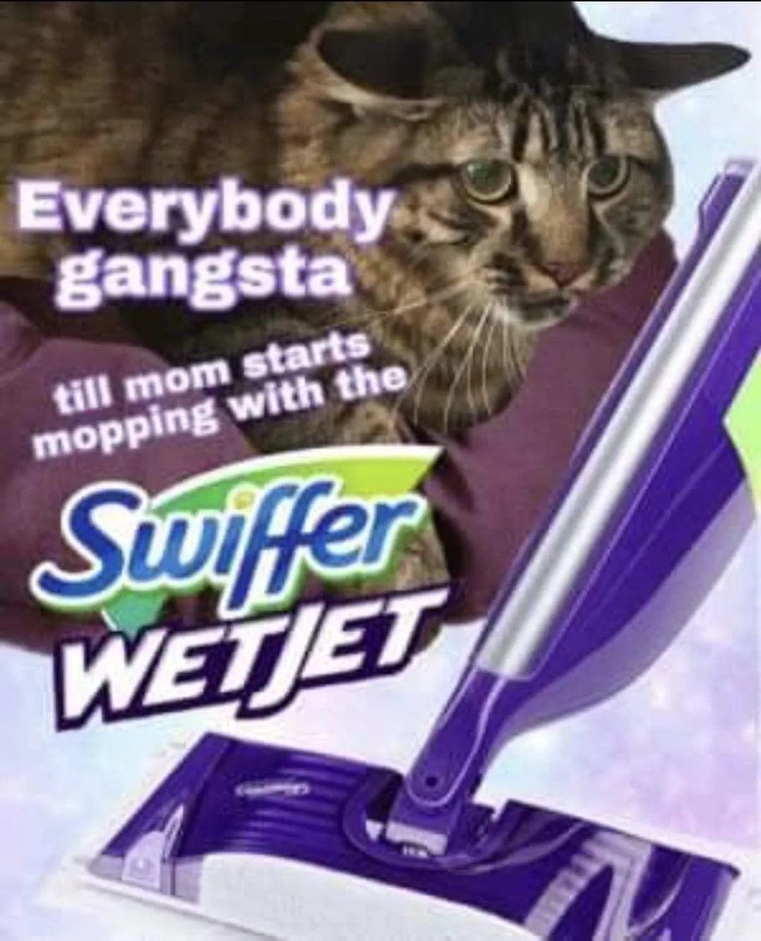 Swiffer meme