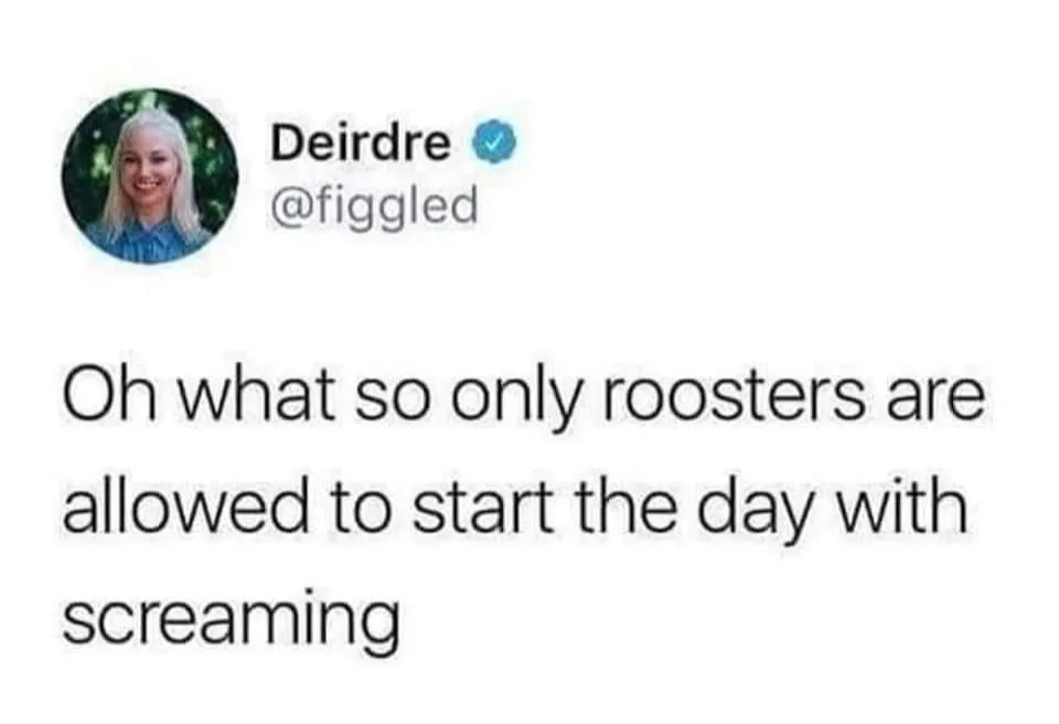 rooster meme