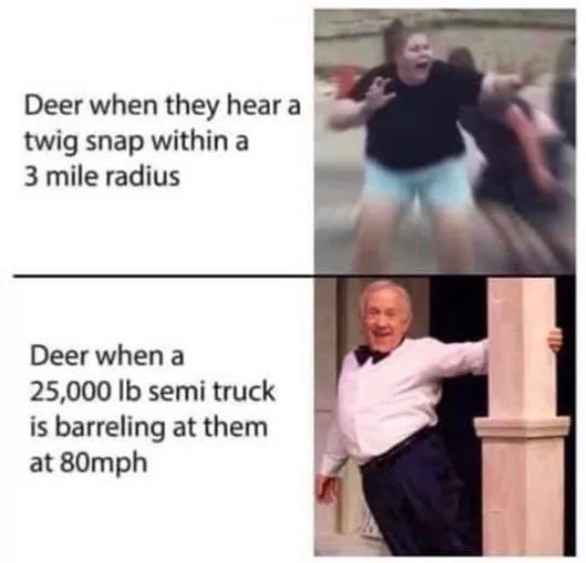 deer meme