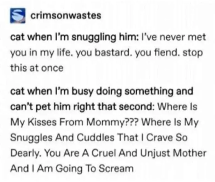 affection meme