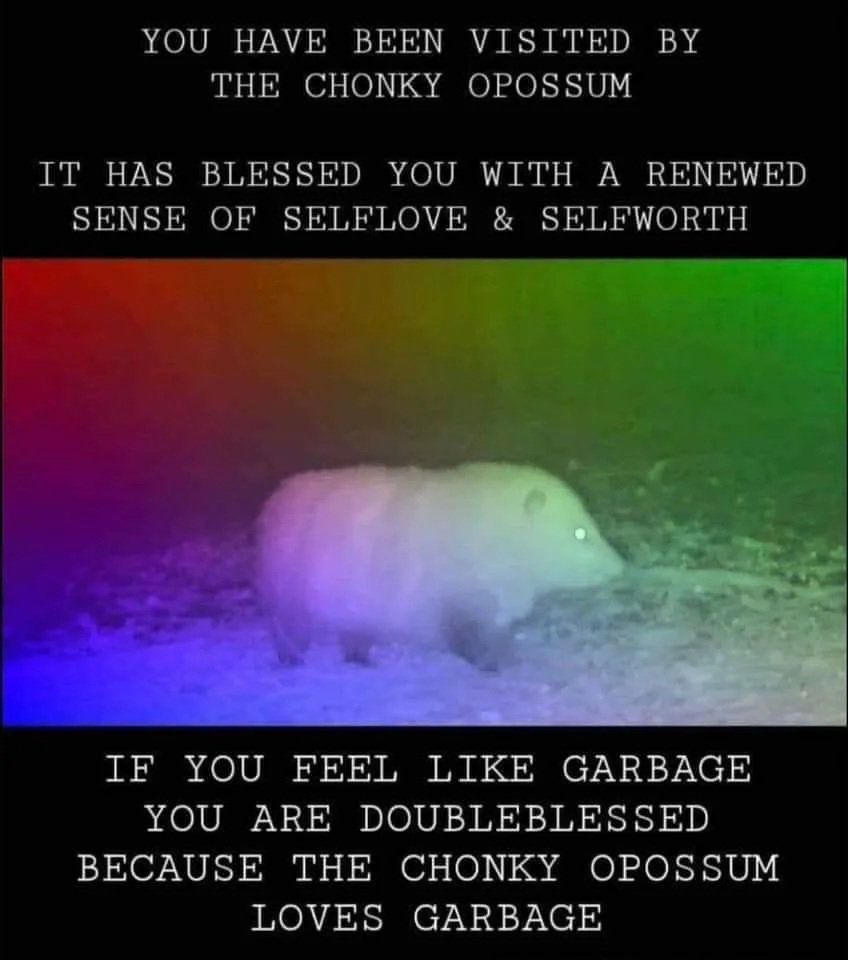 opposum meme