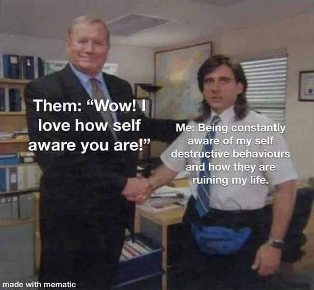 self-awareness meme