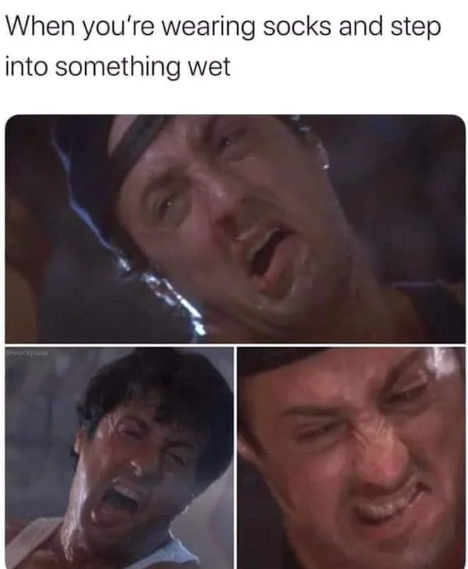 socks meme