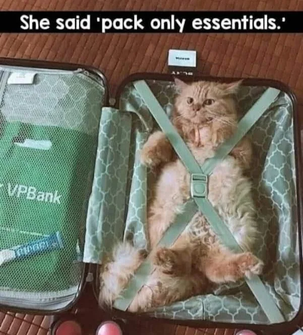 suitcase meme