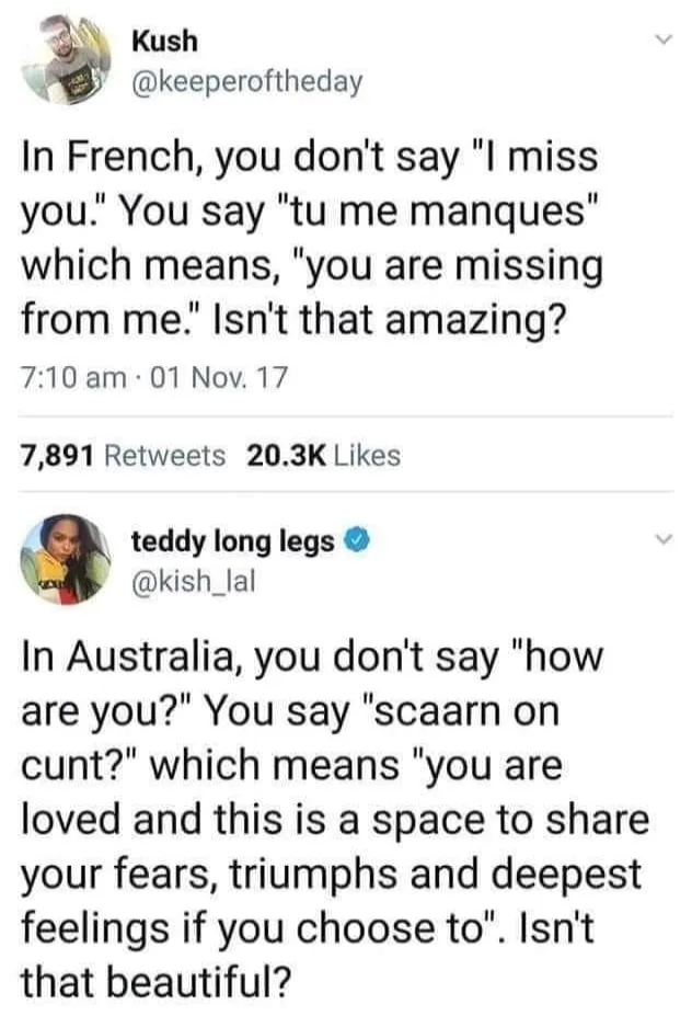 Australian English (language) meme