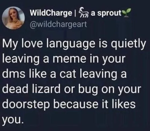 sharing memes meme