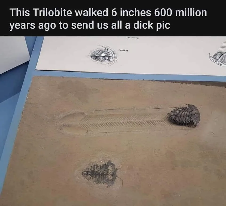 fossil meme