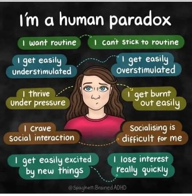 paradox meme