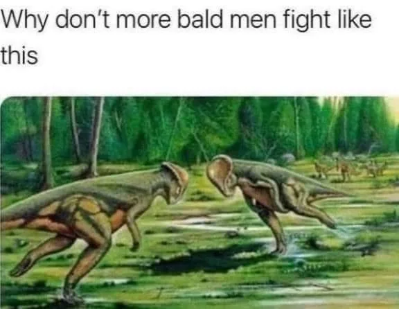 fighting meme