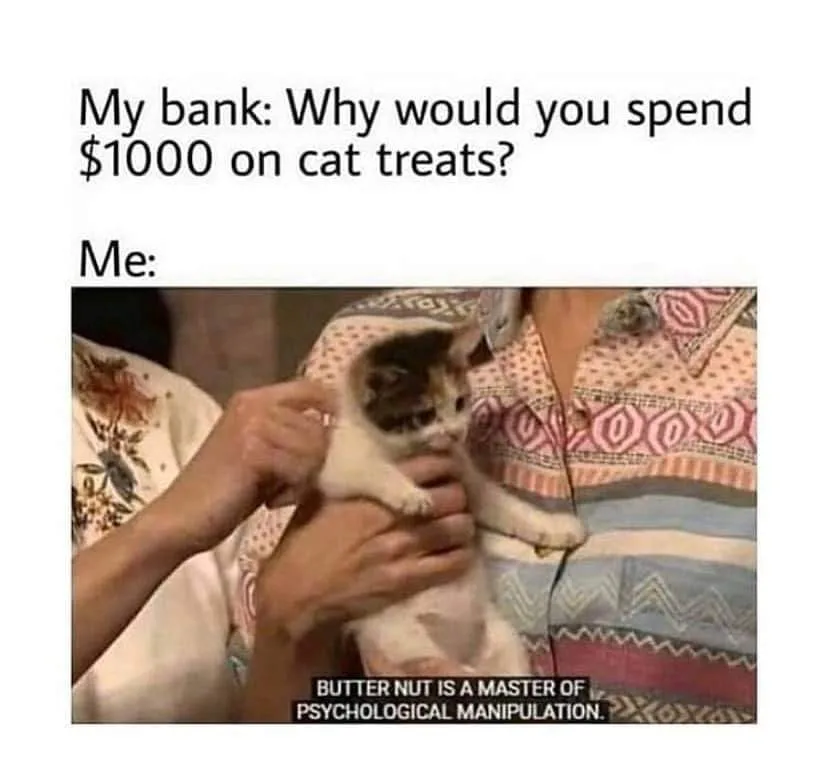 treat meme