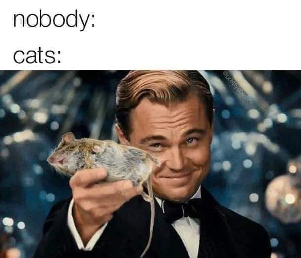 mouse meme