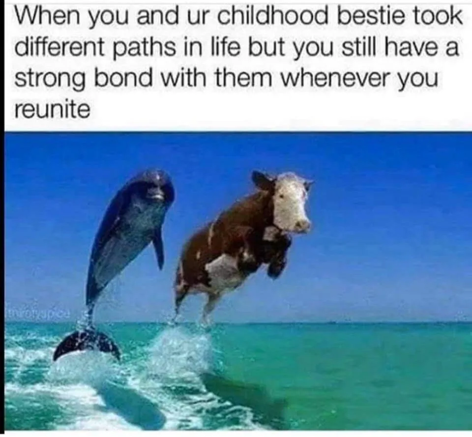 best friend meme