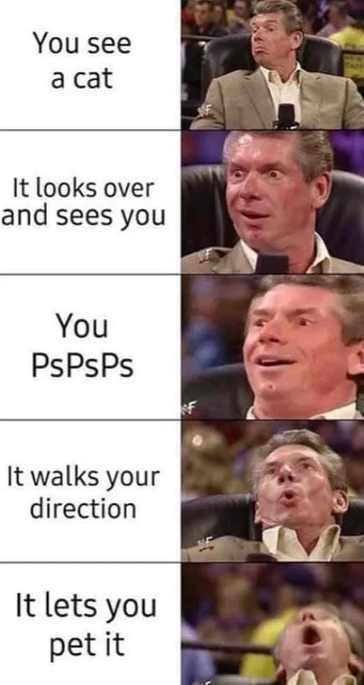 cat lover meme