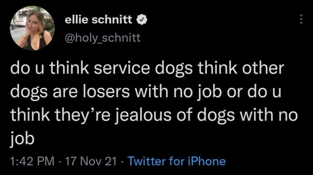 service dog meme