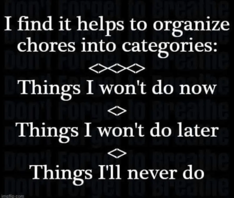 chore meme