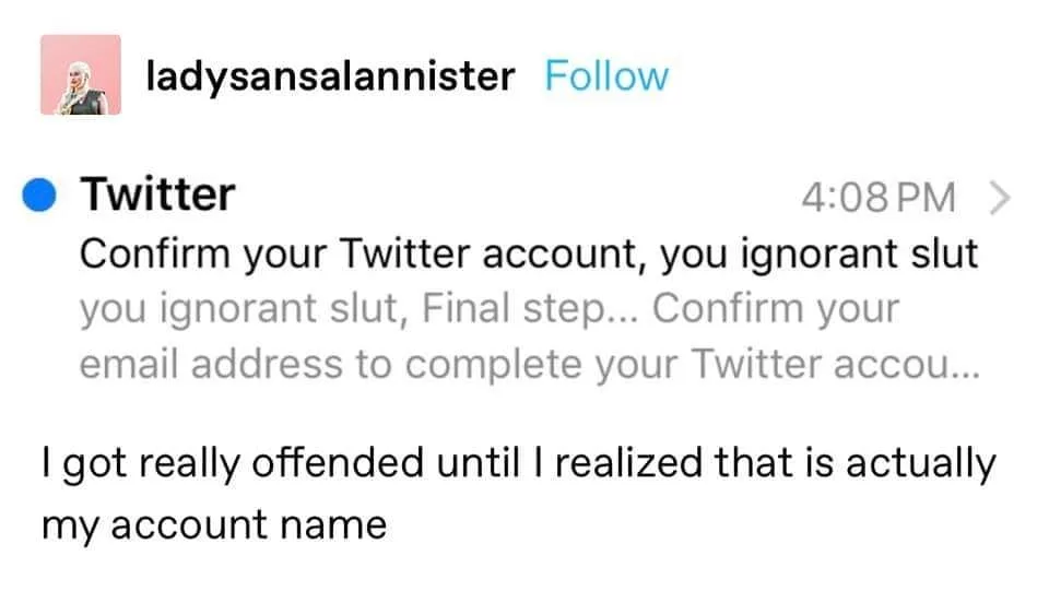 Twitter meme