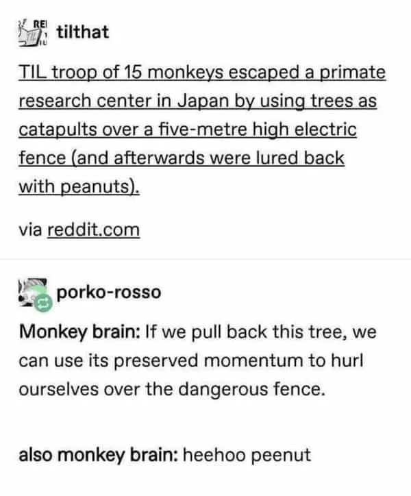 escape meme