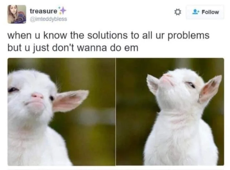 stubbornness meme