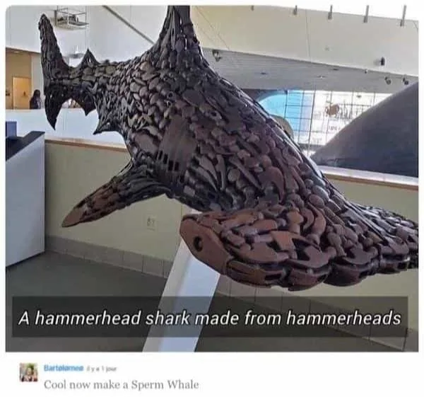 hammerhead shark meme