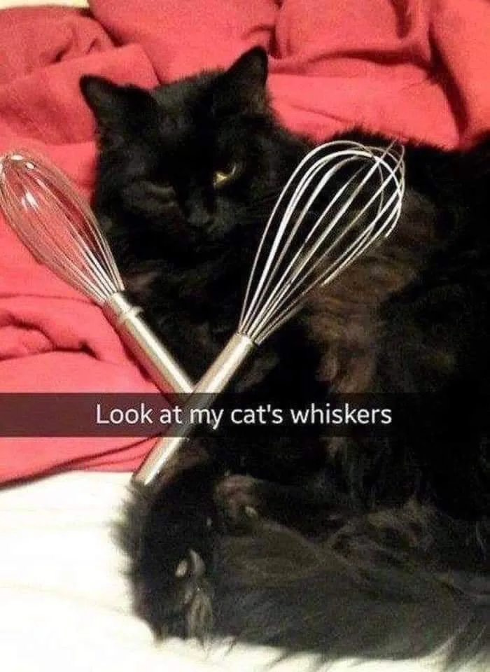 whisk meme