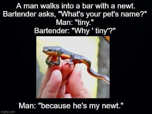 newt meme
