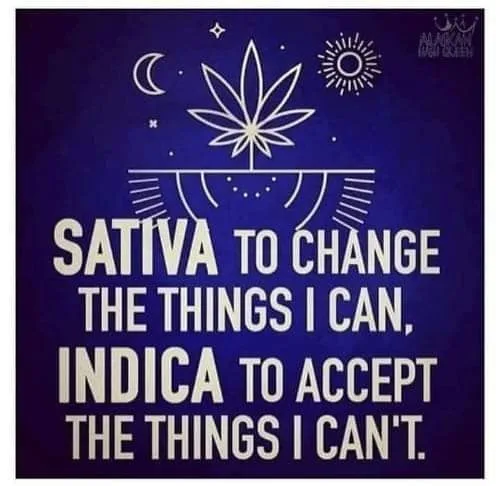 Indica meme