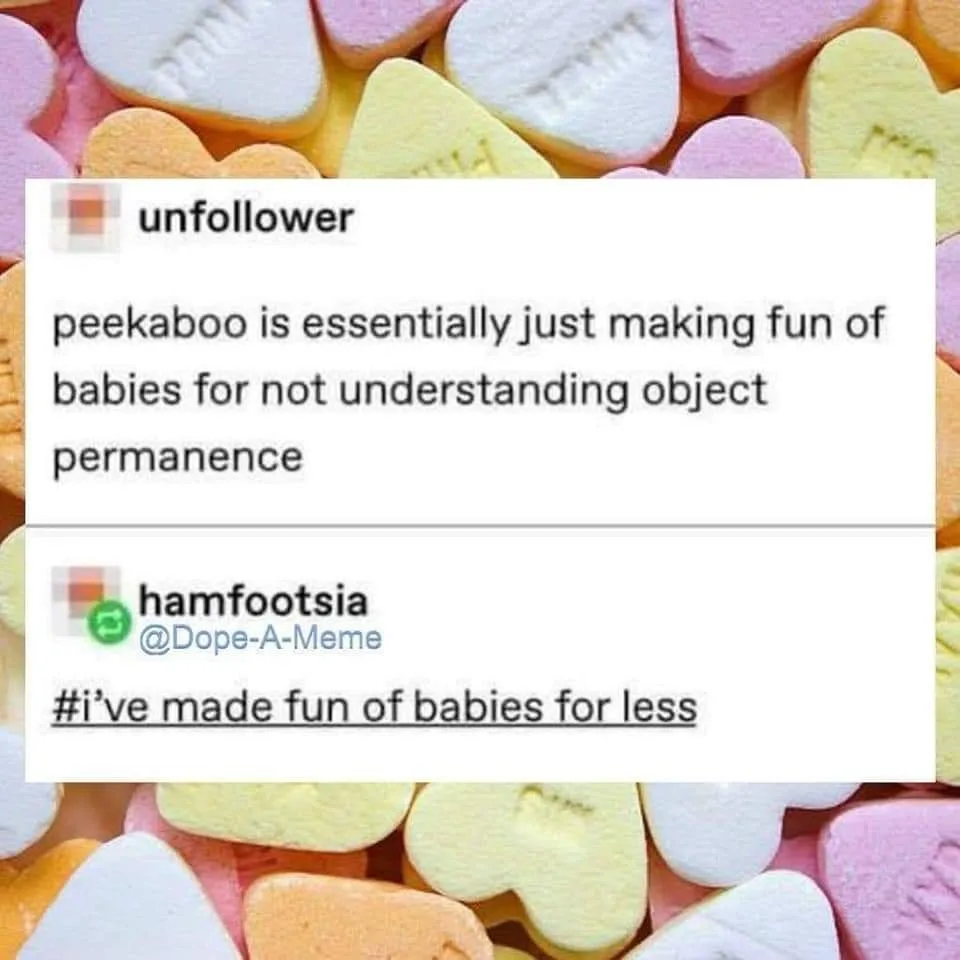 object permanence meme