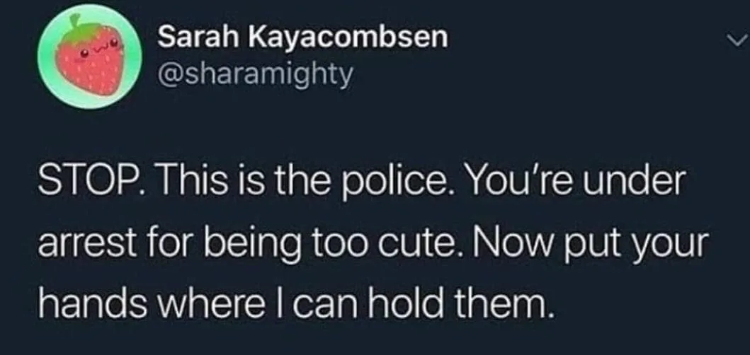 getting arrested meme