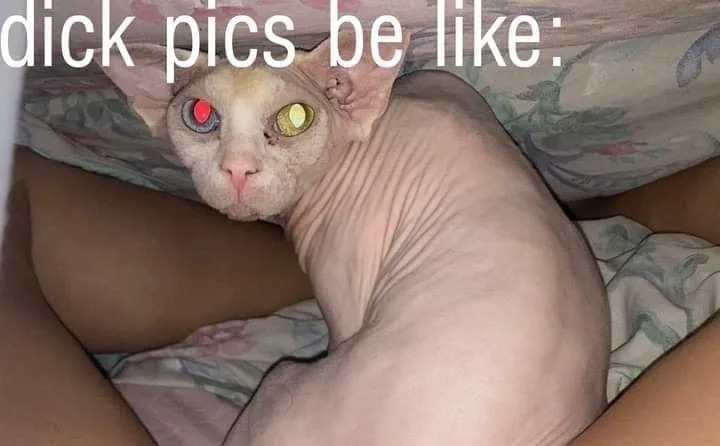 dick pic meme