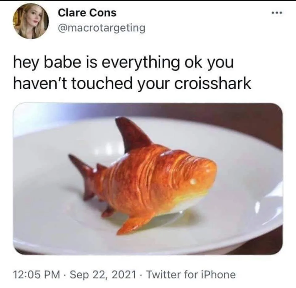 shark meme