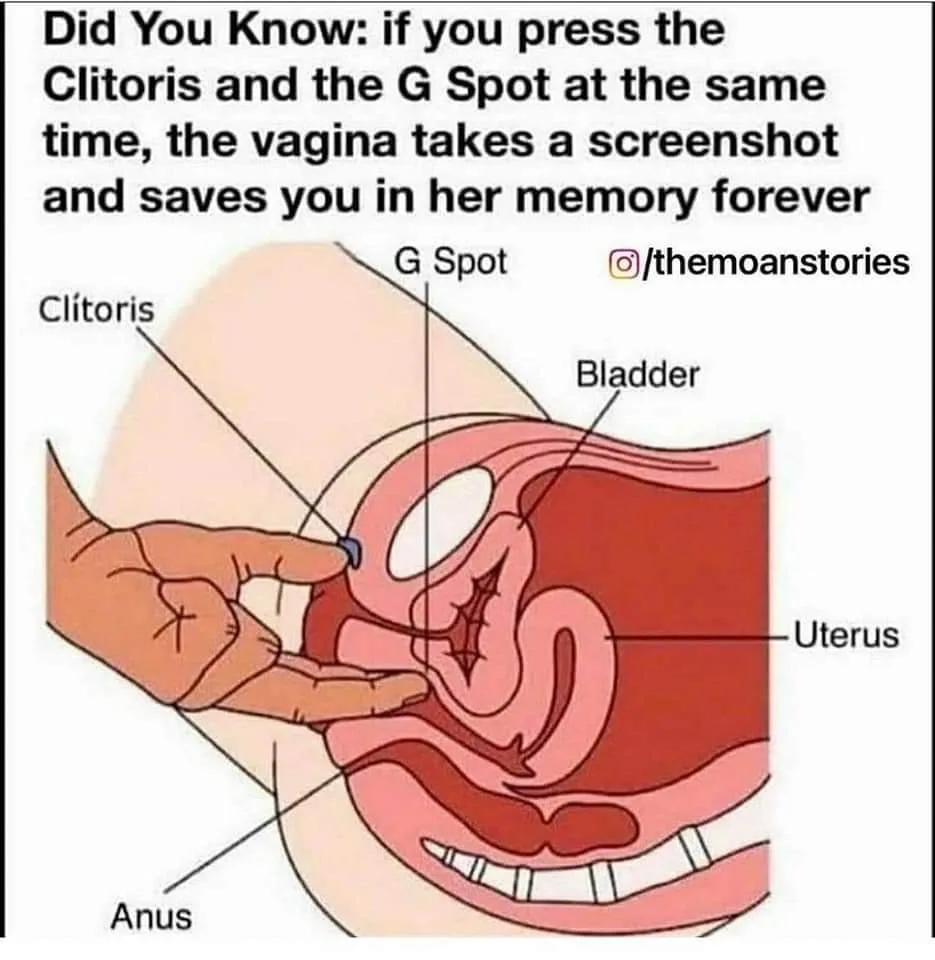 clitoris meme