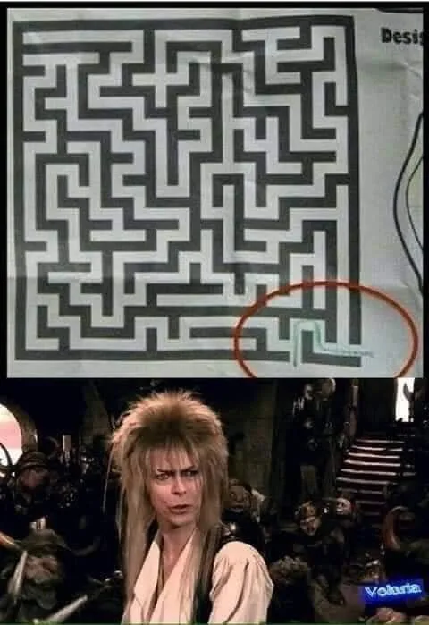 maze meme
