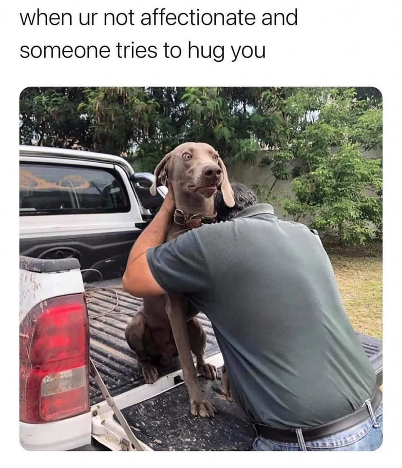 hug meme