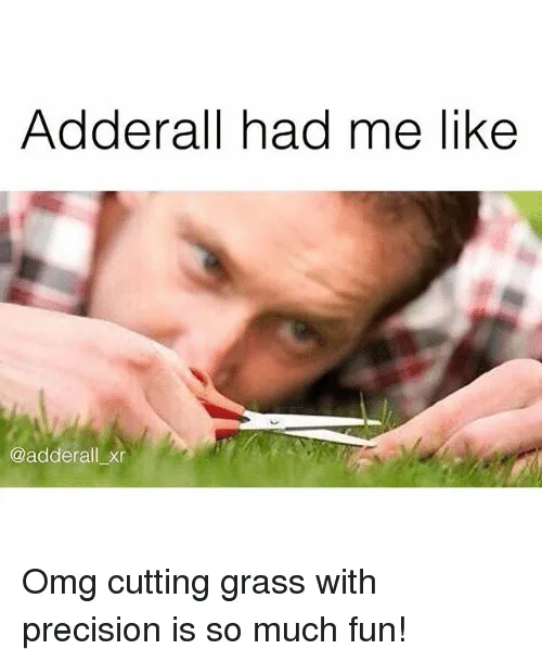 focus meme
