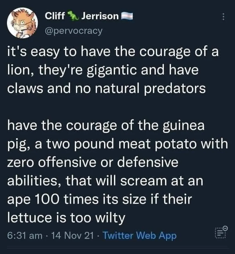 courage meme