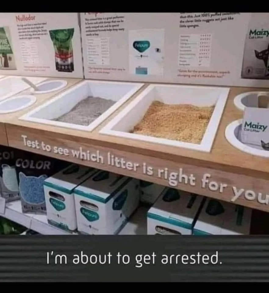 litter box meme