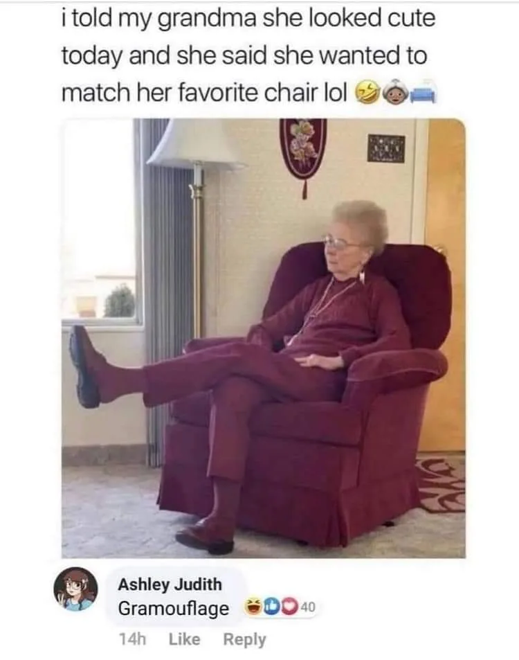 camouflage meme