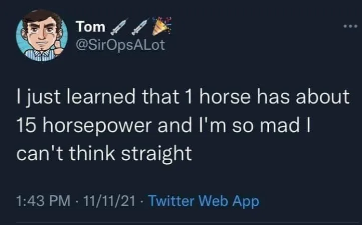 horse meme