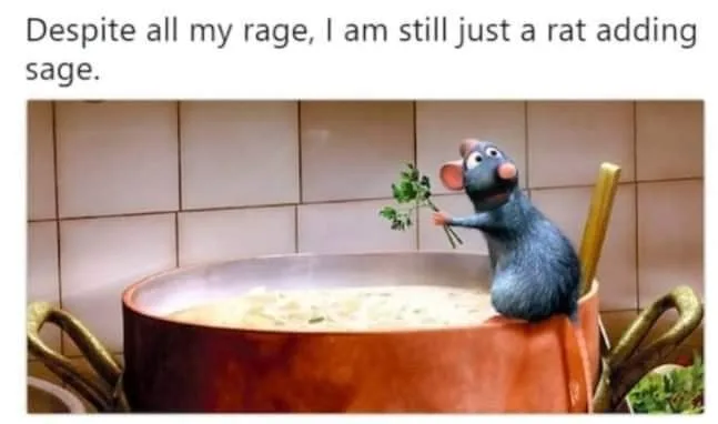 Ratatouille meme