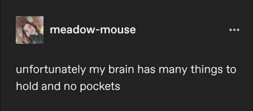 brain meme