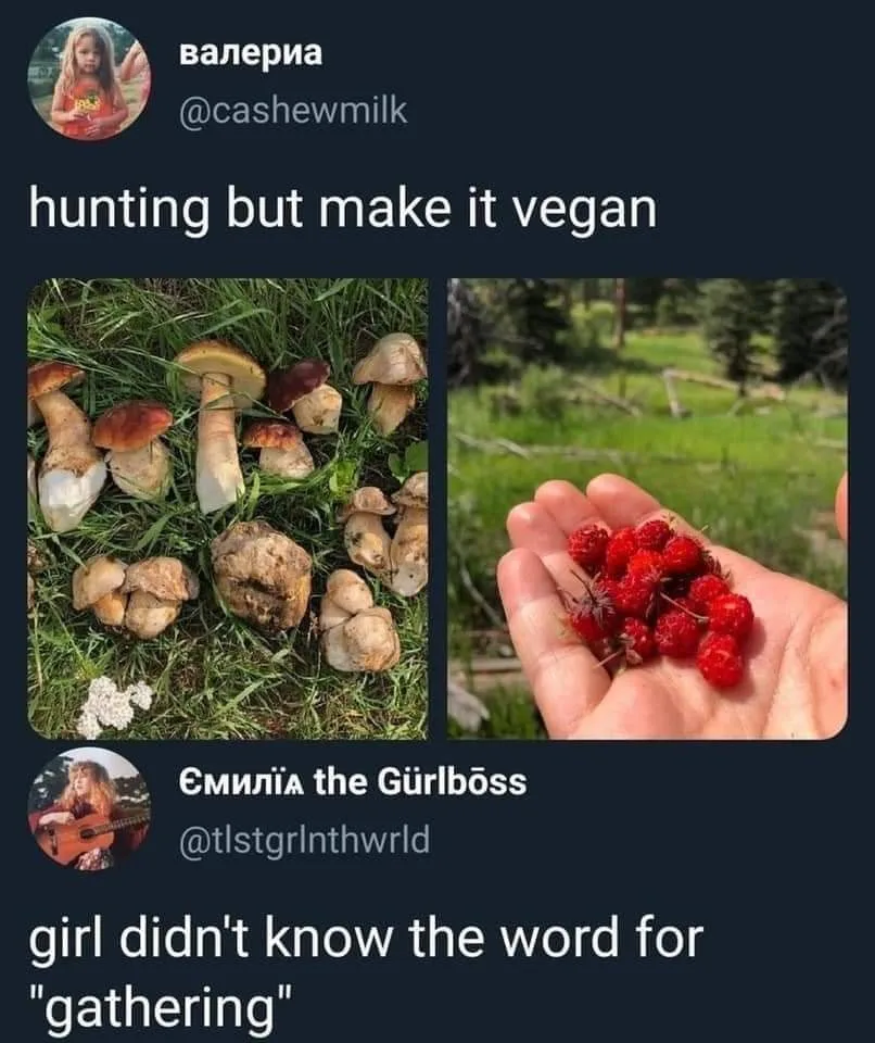 hunting and gathering meme