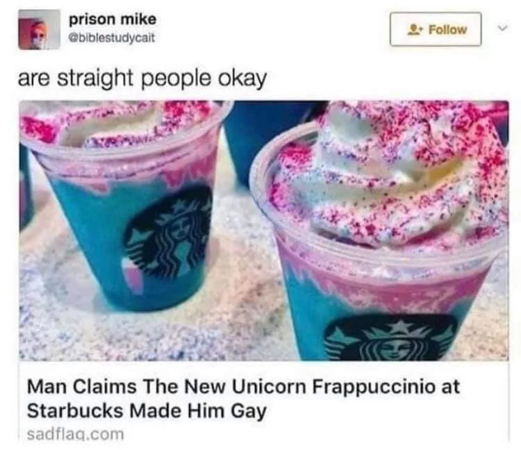gay meme