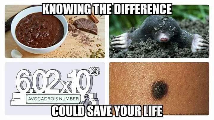 mole meme
