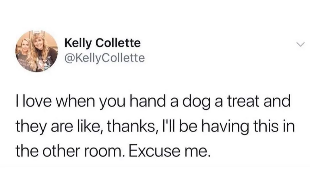 dog treat meme