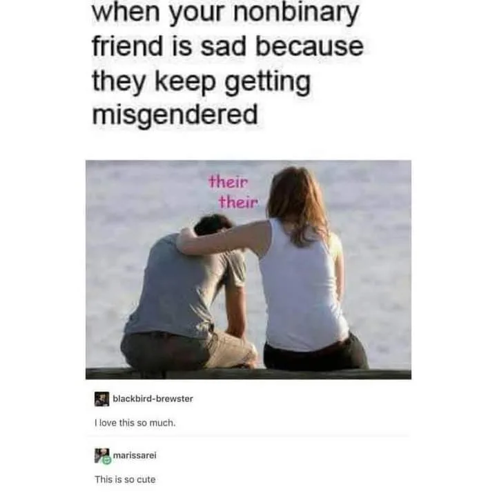 nonbinary meme