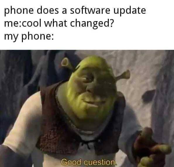software meme