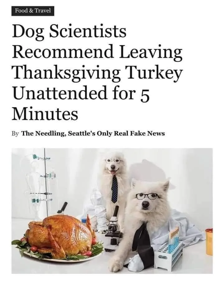 Thanksgiving Turkey meme