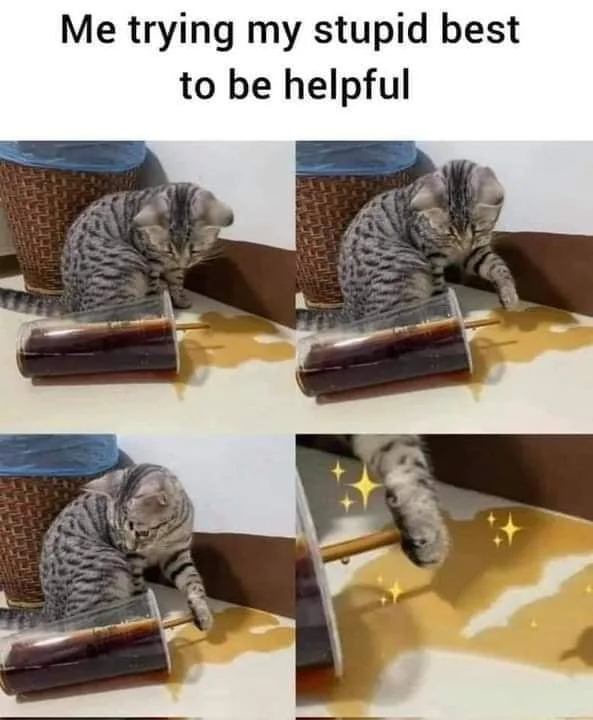 helping meme