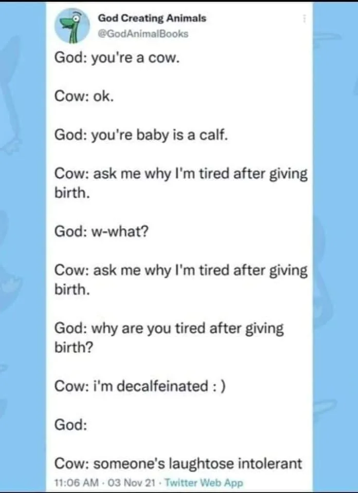 cow meme